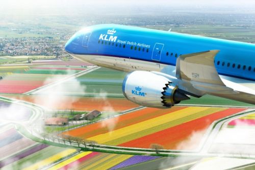 W porównaniu z 2021 międzykontynentalna oferta lotów KLM będzie większa o 17% / Zdjęcie: KLM