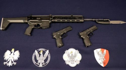 Zamówienia zwiększą w SZ RP liczbę pistoletów VIS 100 do ok. 48 tys i karabinków reprezentacyjnych Grot do blisko 840 / Zdjęcie: AU MON