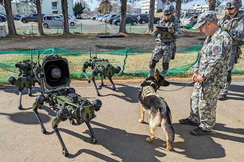 Testy psa-robota VISION 60 prowadzone są w bazie Hyakuri. Kibicuje im starszy pies stróżujący Gogo / Zdjęcie: via X – jasdf_hyakuri