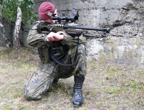 7,62 mm karabin wyborowy Bor stworzony przez OBR SM Tarnów przeszedł wszystkie badania i może być wprowadzony do uzbrojenia. W 2007 WP chce zakupić 36 konstrukcji tego typu