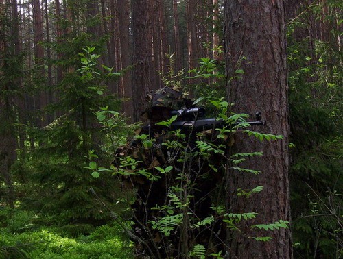 Rosyjski sztucer samopowtarzalny Tigr z celownikiem POSP 8x42 OMR-UT Zenit z podświetlaną siatką / Zdjęcie: Marek Czerwiński