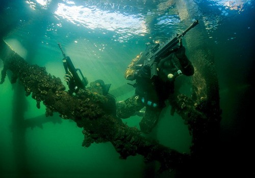 Kampfschwimmer są szkoleni i wykorzystywani do wykonywania niekonwencjonalnych zadań bojowych pod wodą, na jej powierzchni oraz na terenach przybrzeżnych w ramach operacji Bundesmarine i Sojuszu Atlantyckiego, UZE lub ONZ