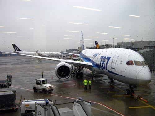 Boeing 787 JA805A, należący All Nippon Airlines, przy terminalu  pasażerskim lotniska we Frankfurcie n. Menem. Za chwilę na pokład wejdą  pasażerowie, którzy polecą pierwszym regularnym lotem z Europy,  obsługiwanym przez ten typ samolotu / Zdjęcie: Jakub Górski