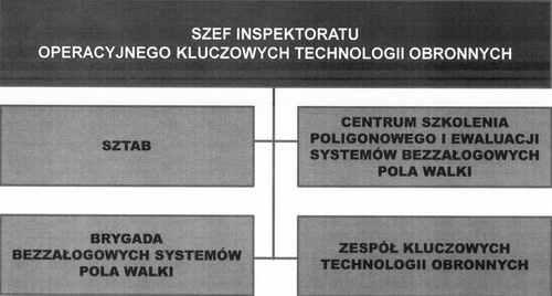 W pierwotnej koncepcji I3TO miał być rozbudowaną strukturą, z zintegrowanym ośrodkiem szkoleniowo-doświadczalnym i jednostką wdrażającą do użycia bojowego powstałe systemy (implementacja to przecież wdrożenie lub zastosowanie, obok – jedna z pierwotnych koncepcji schematu organizacyjnego). Nowa struktura powstawała na podstawie projektu programu Wizja 2021, który bazował na idei budowania armii, której najważniejszym zadaniem miało być niedopuszczenie do wojny na własnym terytorium. Proponowany kryptonim systemu został później twórczo zaadaptowany przez MON i używany w kampanii promocyjnej rządu, jako Polskie Kły