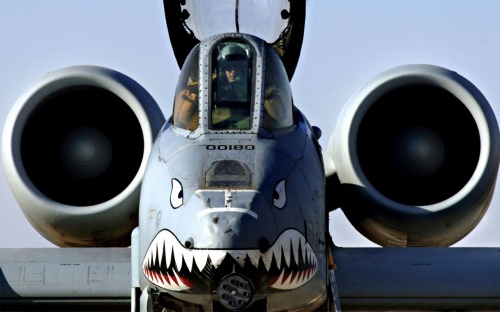 Szturmowy A-10 to jeden z najdłużej używanych współcześnie samolotów bojowych, produkowany od 1975 / Zdjęcie: USAF