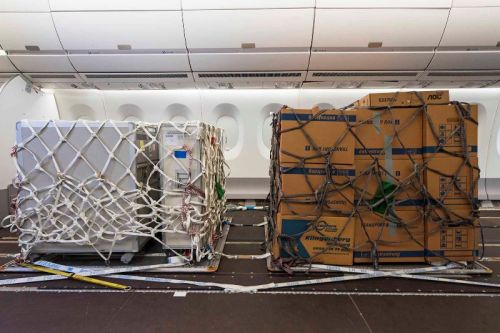 Palety z ładunkiem umieszczone w kabinie klasy ekonomicznej, po wybudowaniu foteli pasażerskich / Zdjęcie: Airbus