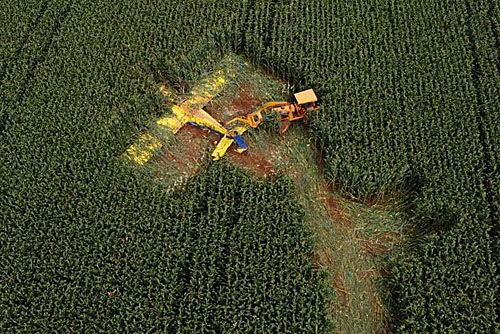 Wrak samolotu Air Tractor AT-402B, który rozbił się wczoraj podczas oprysków pól kukurydzy w Brazylii / Zdjęcie: Twitter