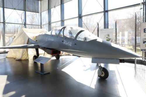 Bielik eksponowany jest w gmachu głównym Muzeum Lotnictwa Polskiego / Zdjęcia: Marcin Sigmund
