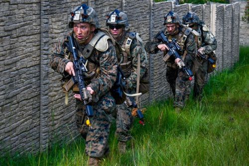 USMC zamierza pozyskać 10 batalionowych zestawów FoFTS-Next / Zdjęcie: USMC