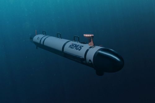 Bezzałogowce REMUS 300 mogą służyć do zadań rozpoznawczych i zwalczania okrętów podwodnych/ Zdjęcie: HII