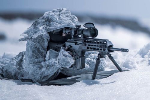 Półautomatyczny Ace Sniper jest wyposażony w lufę o długości 23 cali i zasilany z 20-nabojowych magazynków / Zdjęcie: IWI