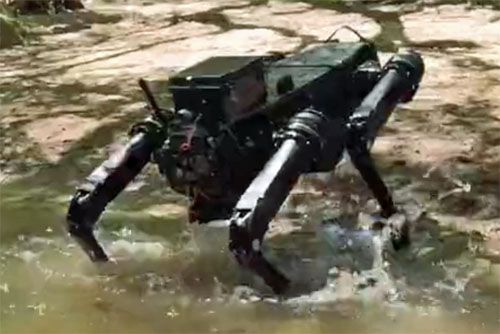 Robot kroczący Ghost Robotics Vision 60 z modułem napędu strumieniowego NAUT wychodzi z wody. Moduł w żaden sposób nie ogranicza możliwości poruszania się na lądzie. Robot spełnia normy ochrony przed wodą i zanieczyszczeniami IP67 / Zdjęcie: Ghost Robotics