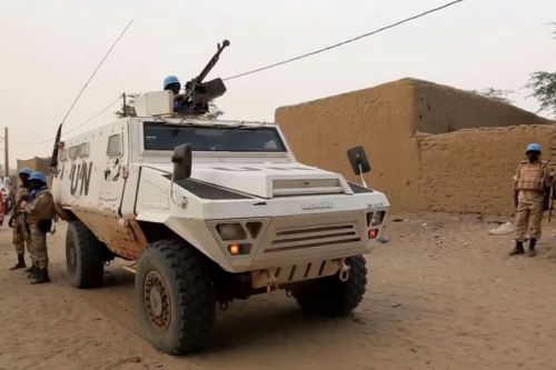 Bastiony sprawdzały się podczas służby w ramach kontyngentów sił pokojowych ONZ. Na zdjęciu użytkowane przez Błękitne Hełmy w Mali w 2015 / Zdjęcie: MINUSMA