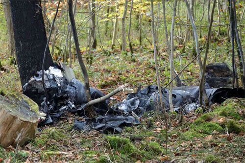Spalony wrak samolotu G-202, który rozbił się wczoraj w Badenii-Wirtembergii w Niemczech / Zdjęcie: Twitter