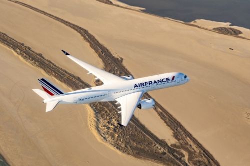 Latem 2023 narodowy przewoźnik Francji zamierza wzmocnić obecność w Afryce Wschodniej / Zdjęcie: Air France