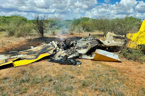 Spalony wrak samolotu Cessna A185F Skywagon, który rozbił się w Parku Narodowym Tsavo w Kenii / Zdjęcie: Twitter – Eagle Need Feed
