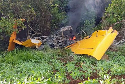 Spalony wrak samolotu Neiva Ipanema, który rozbił się w Brazylii podczas oprysków pól / Zdjęcie: Twitter