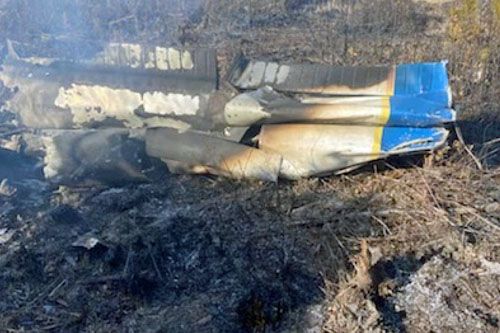 Spalony wrak samolotu Piper PA-28, który rozbił się w Suffolk w Wirginii / Zdjęcie: Virginia State Police