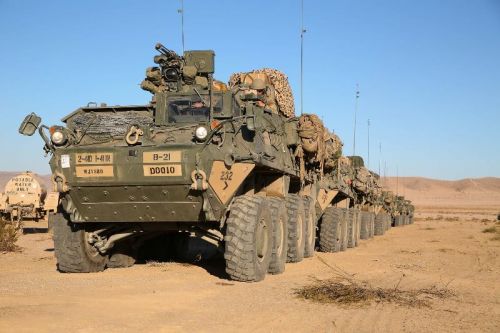 Nowością w amerykańskim wsparciu dla Ukrainy są kołowe transportery opancerzone Stryker. Ukraińcy otrzymają 90 pojazdów wraz z 20 trałami naciskowymi / Zdjęcie: US Army
