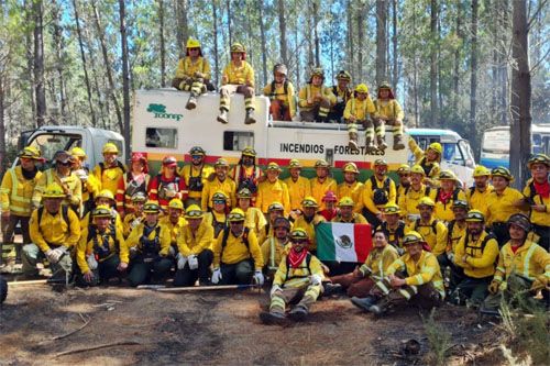 Meksykańscy i chilijscy strażacy, którzy walczą z pożarami lasów w gminie Angol w regionie Araucania / Zdjęcie: Konaf