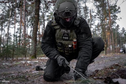 Polskim funkcjonariuszom udało się ujawnić blisko 2000 materiałów niebezpiecznych i wybuchowych i prawie 700 kg pozostałości materiałów bojowych / Zdjęcie: Policja