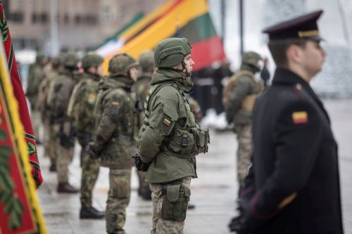 Rozbudowa litewskich sił zbrojnych i utworzenie szczebla dywizji ma być przedsięwzięciem długoterminowym / Zdjęcie: MO Litwy