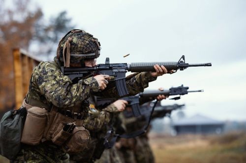 Choć nie podano typów przekazywanego uzbrojenia przypuszcza się, że mowa m.in. o karabinkach Colt C7 kal. 5,56 mm / Zdjęcie: Canadian Armed Forces