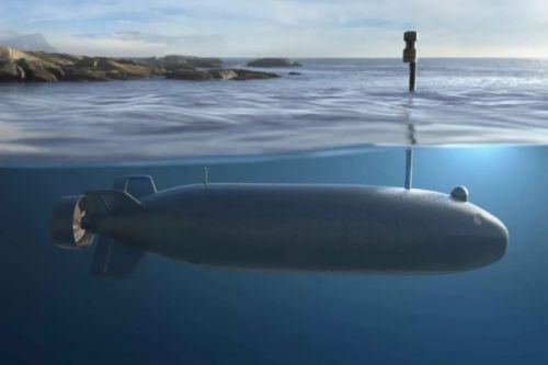 W pracach nad UCUV mogą zostać wykorzystane doświadczenia Naval Group z rozwijania demonstratora dużego podwodnego bezzałogowca XL-UUV / Ilustracja: Naval Group