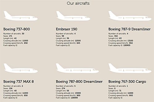 Samoloty obecnie używane przez Royal Air Maroc / Ilustracja: RAM