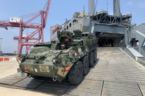 Bułgaria może być 183 transportery Stryker w kilku różnych wersjach specjalistycznych / Zdjęcie: US Army
