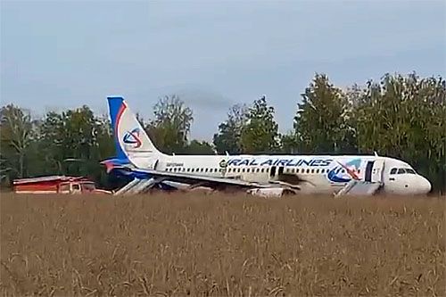 Samolot pasażerski Airbus A320 Uralskich Awialinii po awaryjnym wylądowaniu na polu pszenicy w obwodzie nowosybirskim. Widoczne otwarte trapy, którymi ewakuowali się pasażerowie i załoga / Zdjęcie: via kanał Telegram