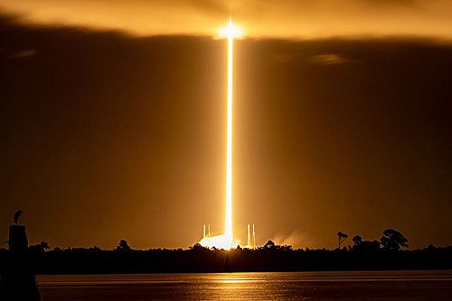 Rakieta nośna SpaceX Falcon 9 startuje z Cape Canaveral z 22 satelitami Starlink Group 6-19 / Zdjęcie: SpaceX