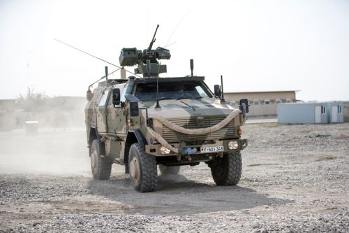 Bundeswehra eksploatuje ponad 500 pojazdów Dingo / Zdjęcie: Bundeswehr