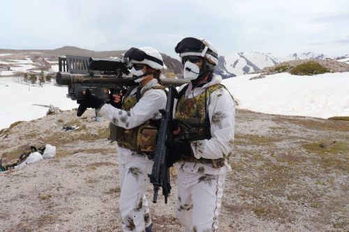Jednym z odbiorców Stingerów mogą być siły zbrojne Włoch / Zdjęcie: Esercito Italiano
