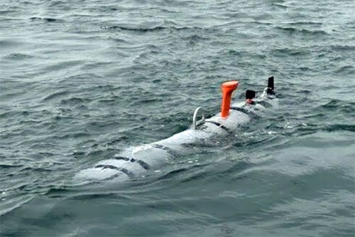 Bezzałogowy pojazd podwodny REMUS 620 podczas testów / Zdjęcie: HII