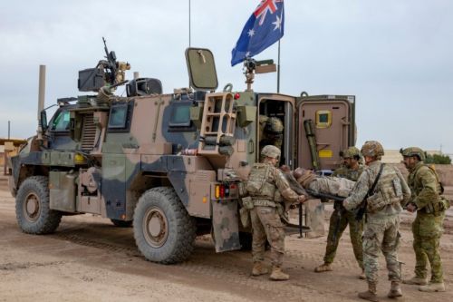 Wprowadzenie do służby nowozelandzkich Bushmasterów oznacza wzrost interoperacyjności z australijskimi wojskami lądowymi, które te pojazdy wykorzystują od dawna / Zdjęcie: US Army