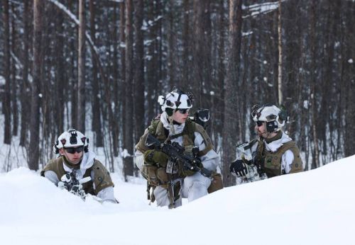 System symulacji laserowej podczas ćwiczeń Nordic Response 2024 / Zdjęcie: Forsvaret