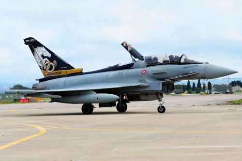 Okolicznościowe malowanie TF-2000A, upamiętniające 20-lecie służby Eurofighterów we włoskim lotnictwie wojskowym / Zdjęcia: Gian Carlo Vecchi i Sergio Lanna