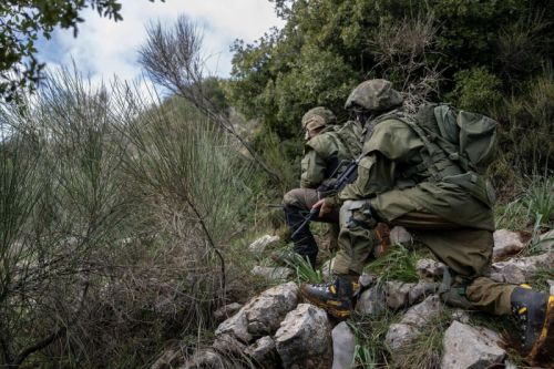 Nowa brygada będzie częścią 210. Dywizji Baszan (HeHarim) i zastąpi 810. Brygadę Regionalną Hermon / Zdjęcie: IDF