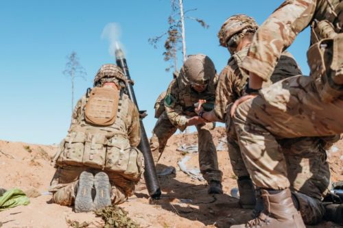 Ćwiczenie Steadfast Defender 24 było podzielone na dwa etapy / Zdjęcie: British Army