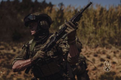 W WOT służy obecnie ponad 40 tys. żołnierzy / Zdjęcie: WOT