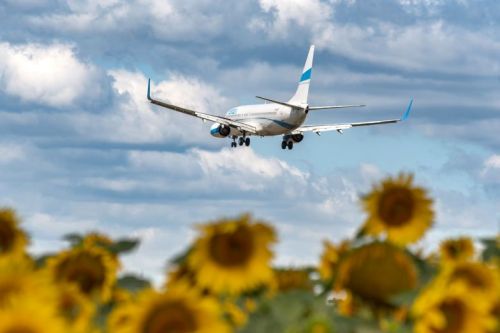 W TOP-3 kierunków czarterowych odwiedzonych w tym roku przez pasażerów z Rzeszowa są: Antalia (103 tys. pasażerów), Sharm El Sheikh (31 tys.) i Heraklion (27 tys.) / Zdjęcie: Wanda Dziura
