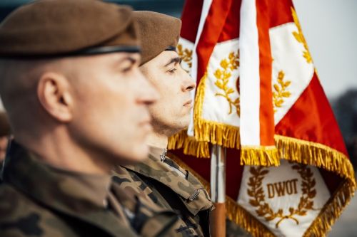 Formowanie WOT w obecnej formie zapoczątkowano w 2017 / Zdjęcie: WOT