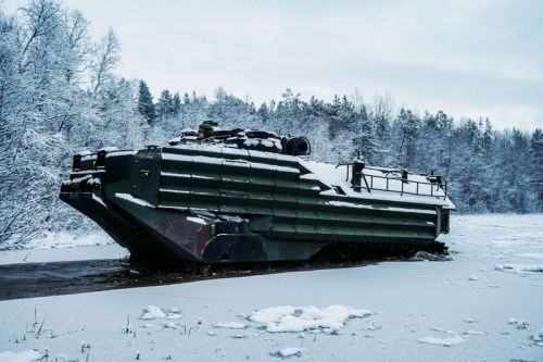 Amfibie AAV-7A1 dla Rumunii miałyby pochodzić z nadwyżek US Marine Corps / Zdjęcie: Departament Obrony