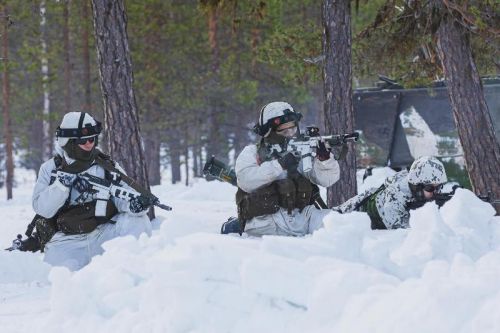 Jeśli zaistnieje taka potrzeba komponent FLF w Finlandii może zostać rozbudowany do poziomu brygady / Zdjęcie: Merivoimat