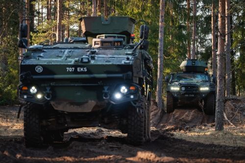 Uzbrojenie pojazdów NMS i Arma zakupionych przez Estonię stanowić będą wkm kal. 12,7 mm / Zdjęcie: RKIK
