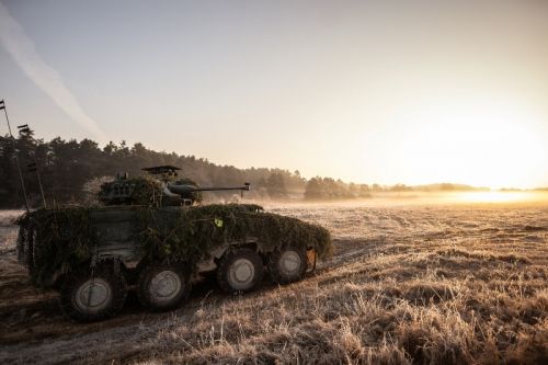 Litwa zakupiła w ubiegłym roku 27 transporterów Vilkas w odmianie inżynieryjnej, które dołączą do 89 wcześniej zakupionych wozów w odmianie kbwp / Zdjęcie: MO Litwy