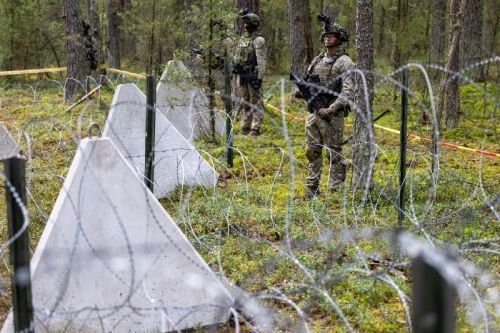 Zaplanowane środki na zdolności z zakresu kontrmobilności mają zostać przeznaczone przez Litwę głównie na zwiększenie potencjału sił zbrojnych w kwestii minowania / Zdjęcie: MO Litwy