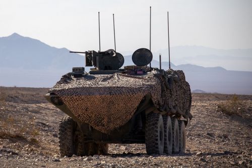 Hiszpanie poszukują następcy 19 amfibii AAV-7, a za faworyta uważane są wozy ACV / Zdjęcie: Cpl. Austin Gillam / USMC