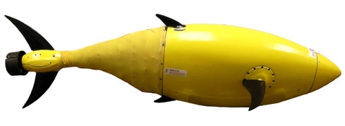 BIOSwimmer ma torpedowaty kształt z księżycowo wciętą płetwą ogonową przypominający tuńczyka. Tego rodzaju budowa pozwala na optymalne poruszania się w wodzie z dużą, jak i małą prędkością. Kształt tuńczyka jest też idealnie dobrany, gdy dochodzi do penetrowania trudno dostępnych miejsc pod wodą / Zdjęcie: BEC